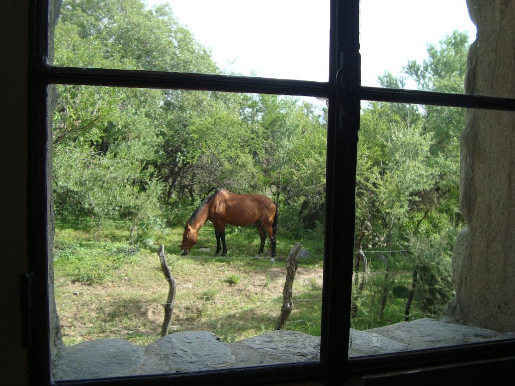 Cabanas En Piedras Maia Merlo Стая снимка